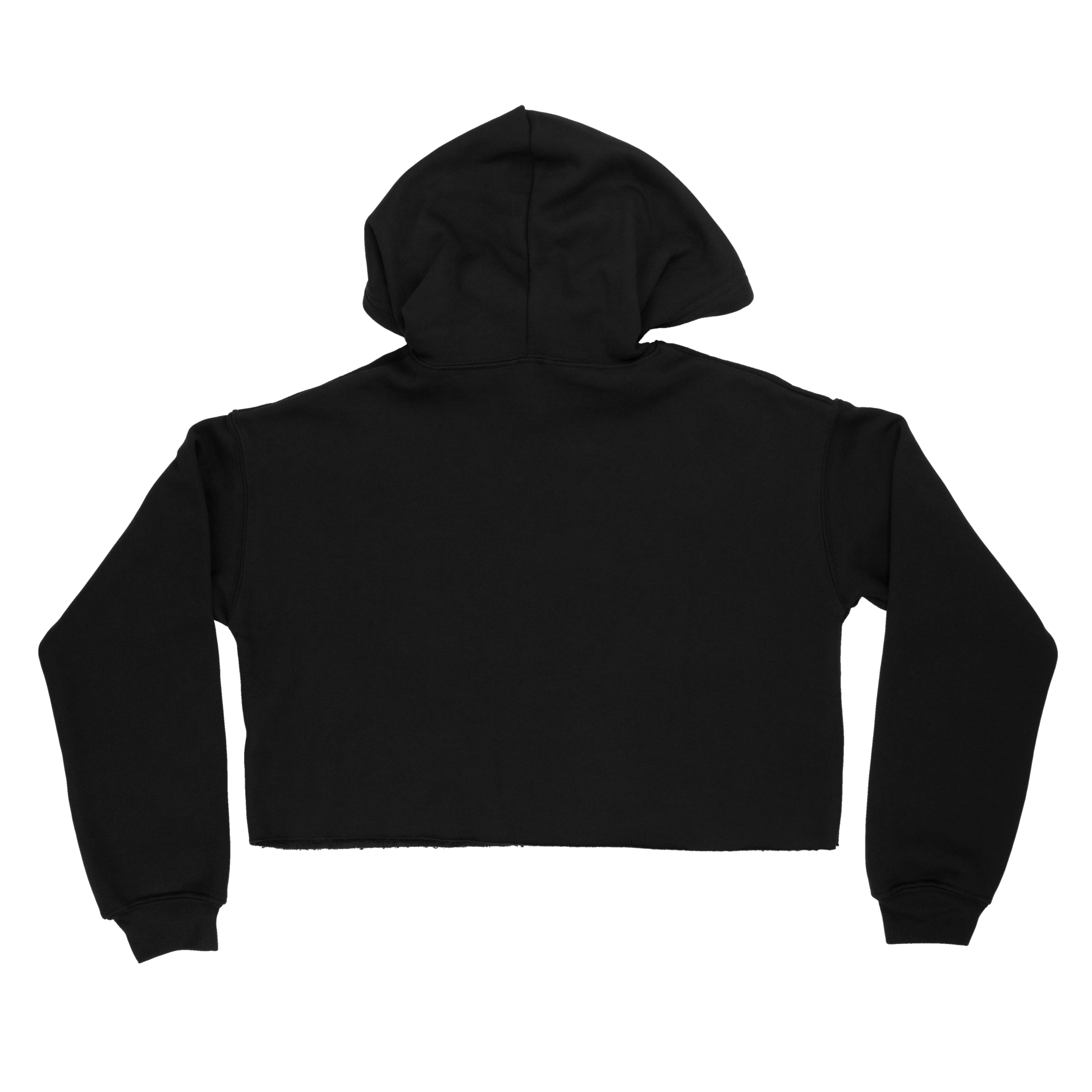 RIT Esports Classic Cropped Hoodie
