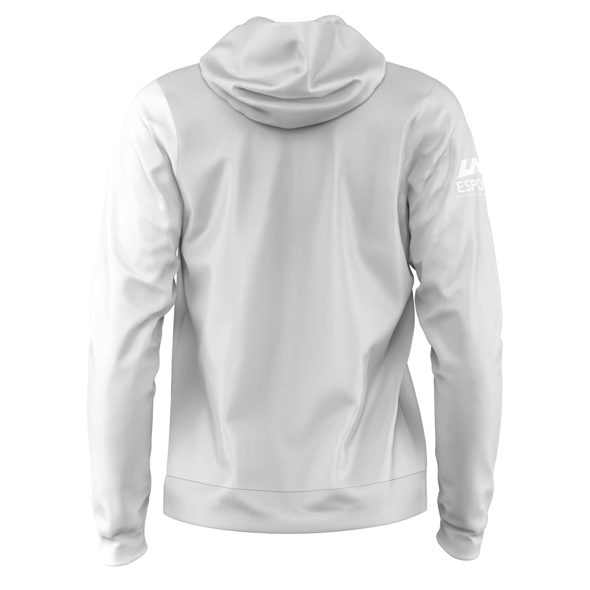 UAH Esports 2021 Pro Hoodie